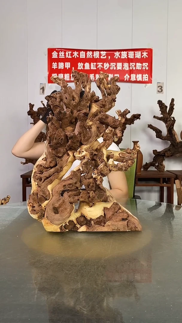 香榧木木**川金丝红木   羊蹄甲
