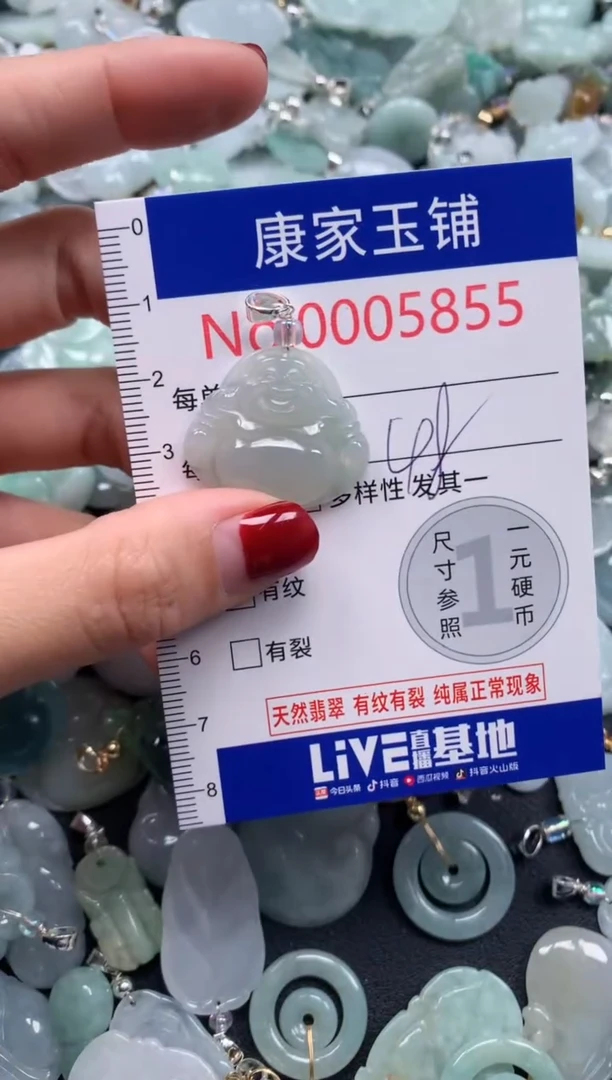 颈饰未镶嵌翡翠5855