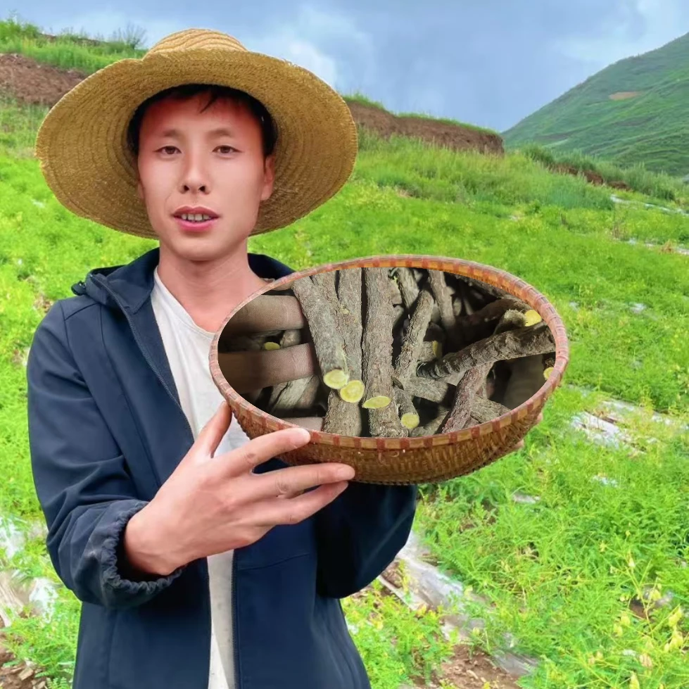 甘肃岷县中药饮片红皮甘草段天然滋补佳品