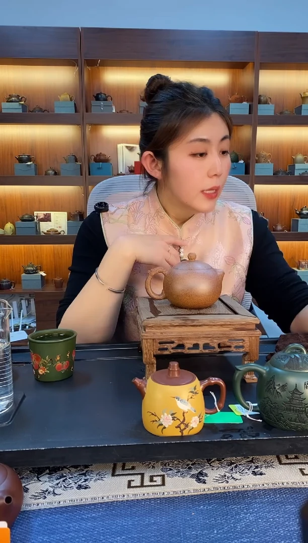 茶壶紫砂龙吟西施 天星泥 蒋静明