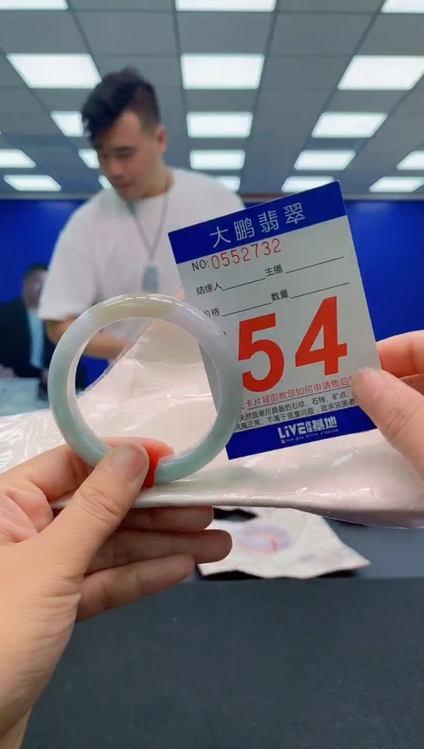 未镶嵌手镯翡翠AAAAAAAAA