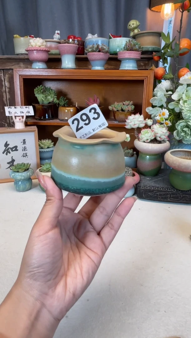 瓷片293知木小芳你花盆
