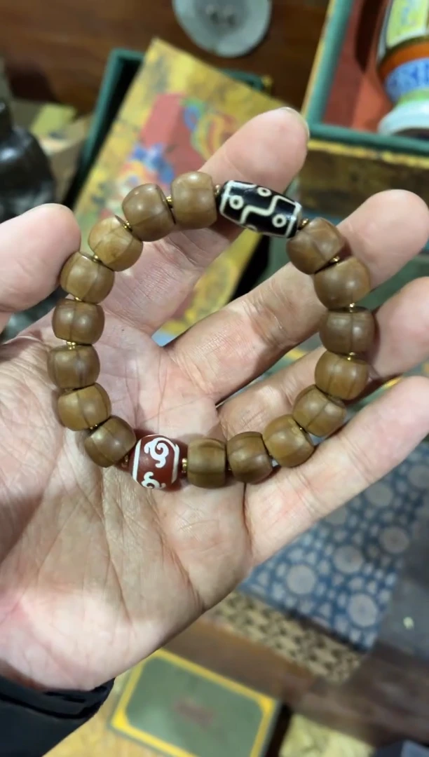 六道木硕哥精品专属链接2