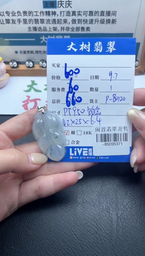 颈饰铂Pt950镶嵌翡翠多人-85095371