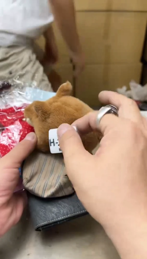 瓷片1217聚宝缘海陶精选
