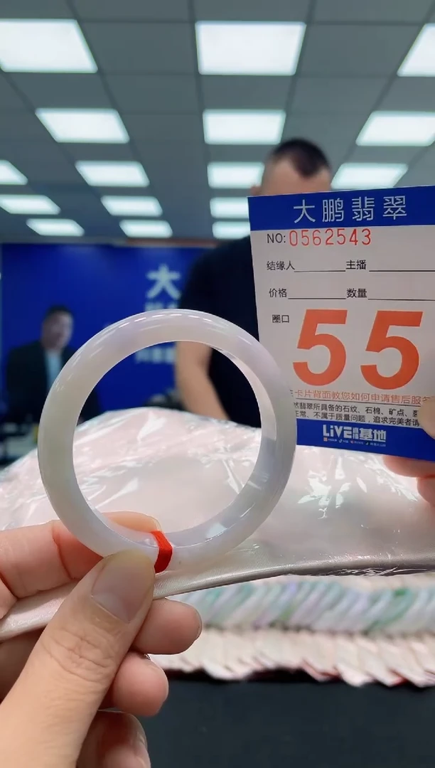 未镶嵌手镯翡翠AAAAAAAAA