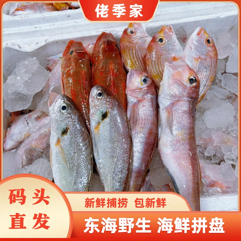 佬季家东海野生海鱼杂鱼套餐 海鲜拼盘