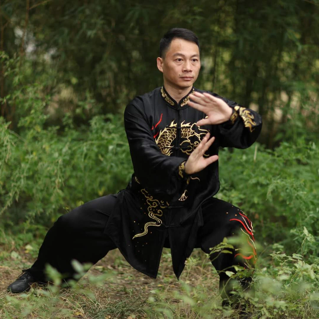 庞德立老师——精进版《老架一路》教学