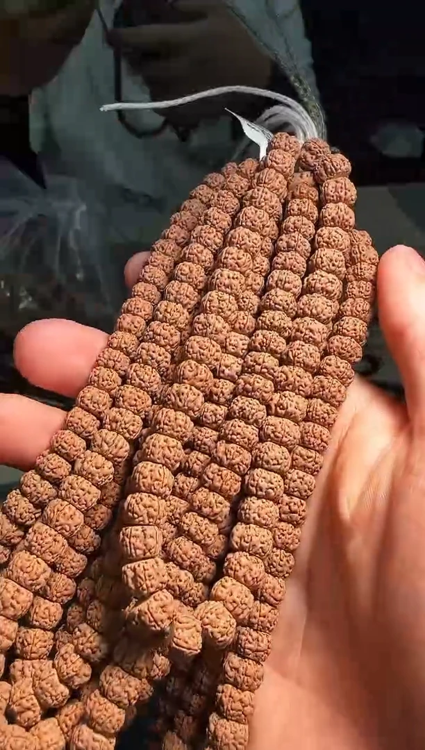 金刚菩提手串8mm超头精挑龙切玉梅花手持