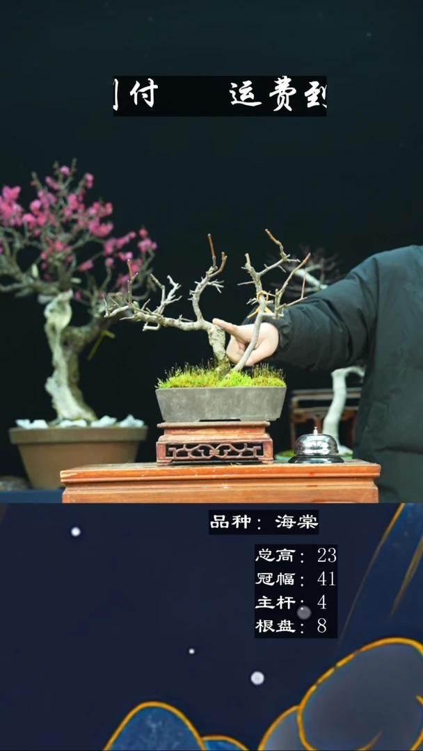 【闪购商品】无铅玻璃14859