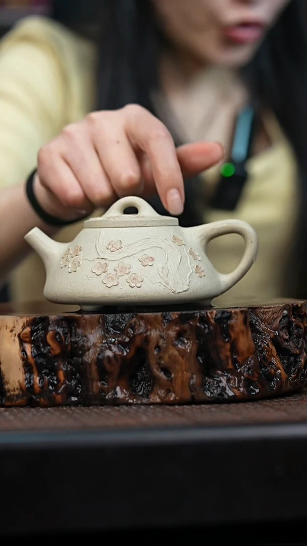 宜兴岁颐传砂原矿全手1