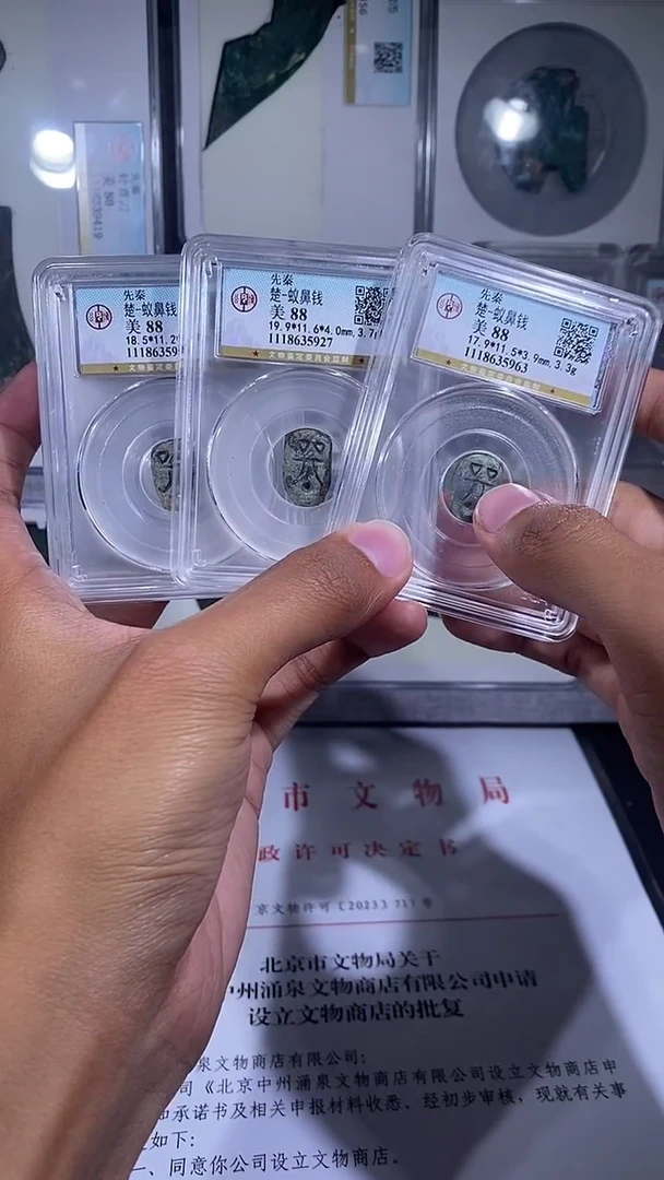 铜琪珍  蚁鼻蚁鼻一枚