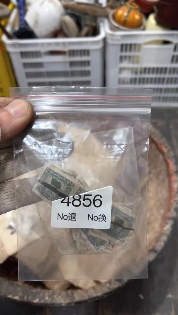 罐深***律88886666202509274856