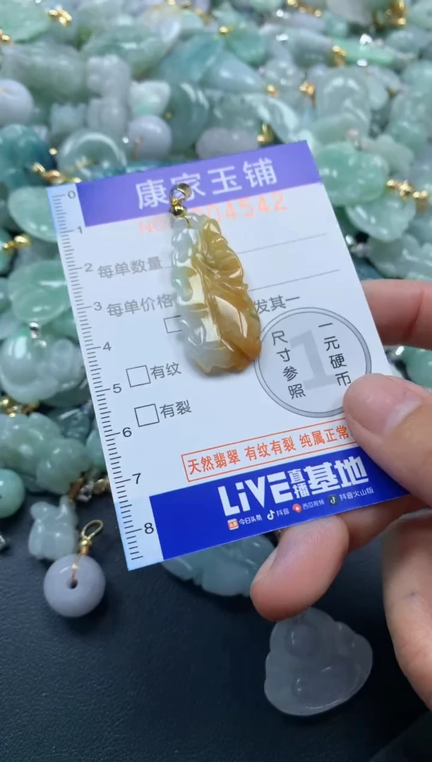 颈饰未镶嵌翡翠4542