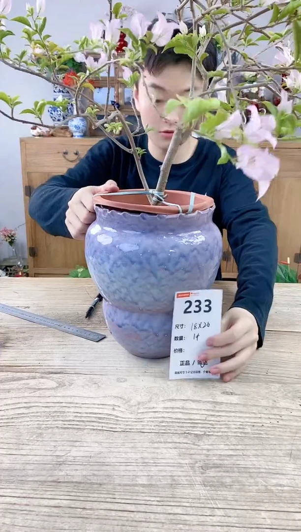 小玩子花盆直播号233
