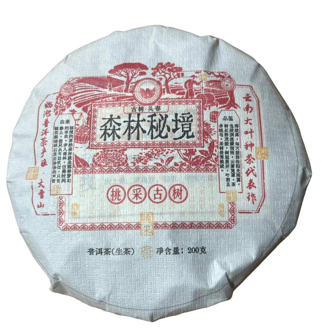 2021年森林秘境 头春 普洱生普200克-【96号】