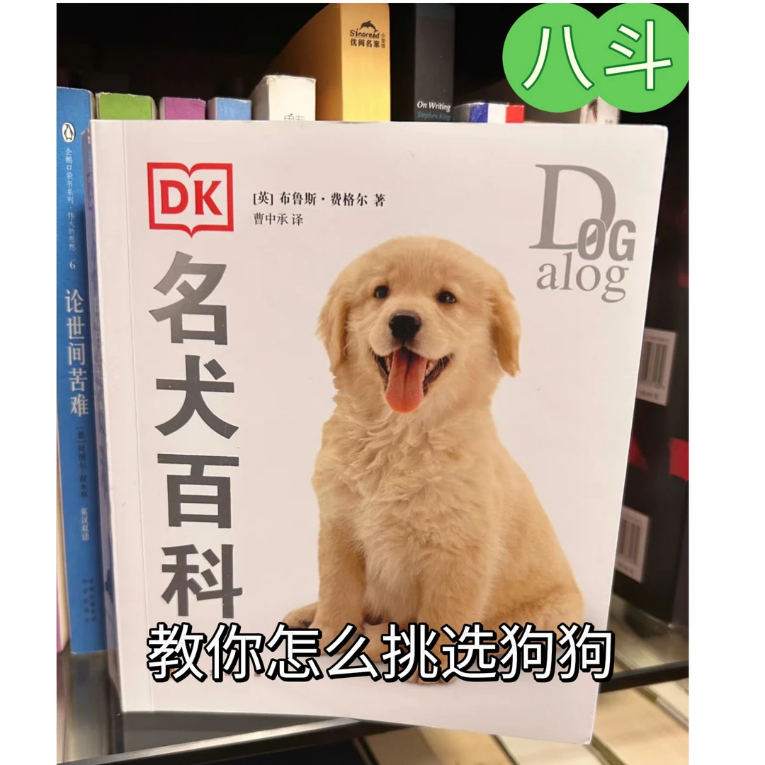 八斗教你如何挑选狗狗