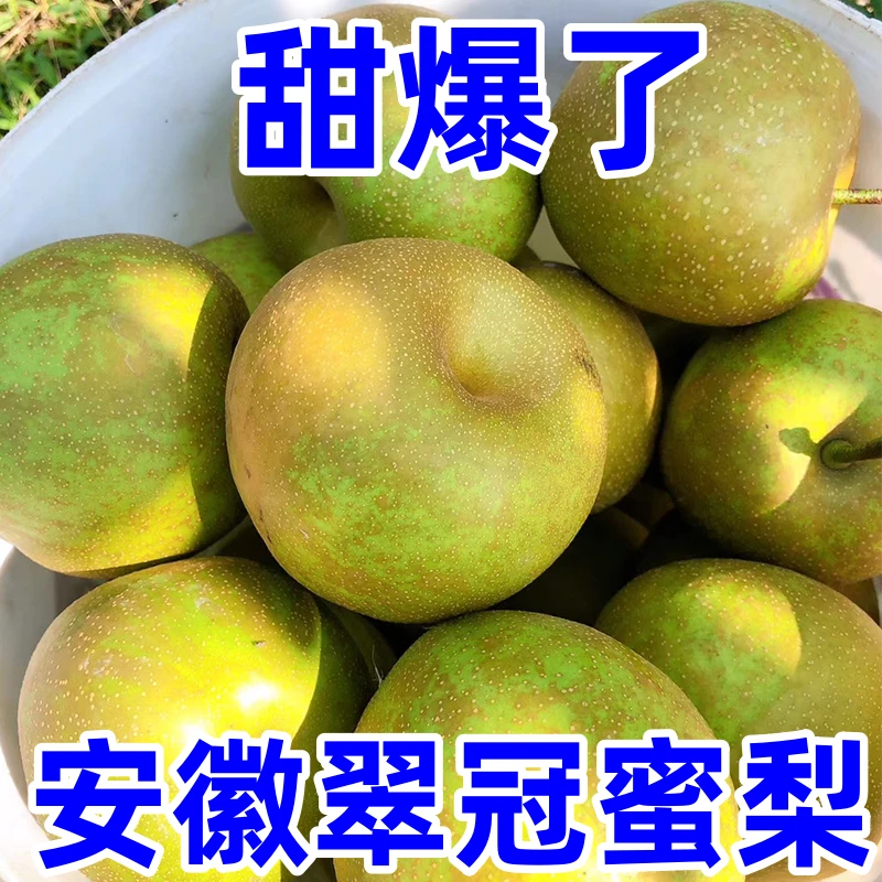正宗安徽翠冠蜜梨丑梨新鲜梨爆汁无渣蜜梨