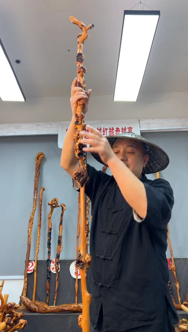 【闪购商品】黑果木其他黑果木699