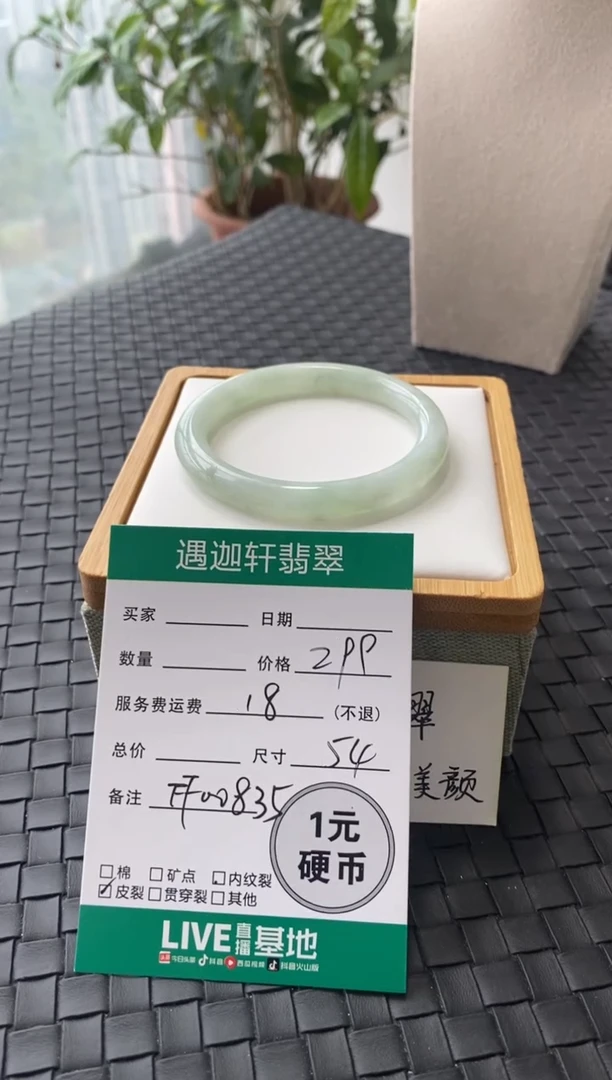 未镶嵌手镯翡翠FF00835圈口54.2