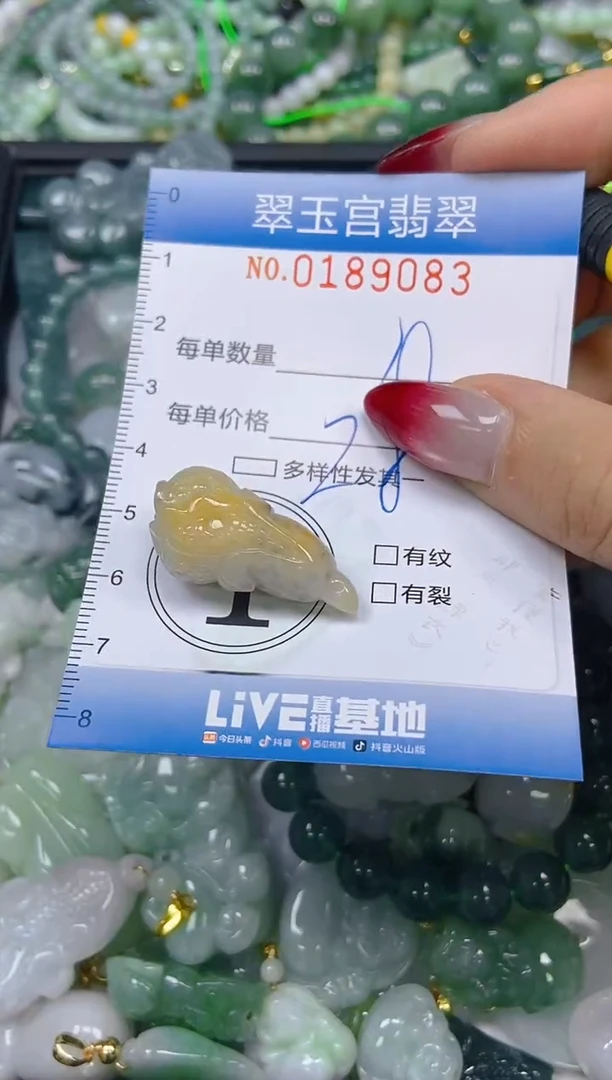 翡翠未镶嵌颈饰闪购0189083