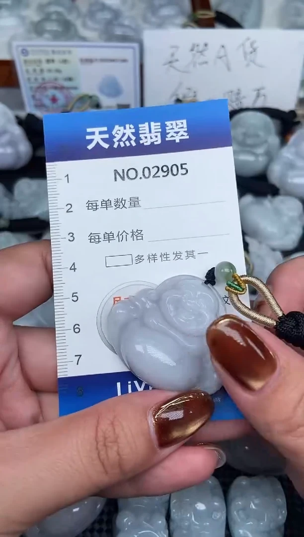 颈饰未镶嵌翡翠纯天然A货翡翠2905