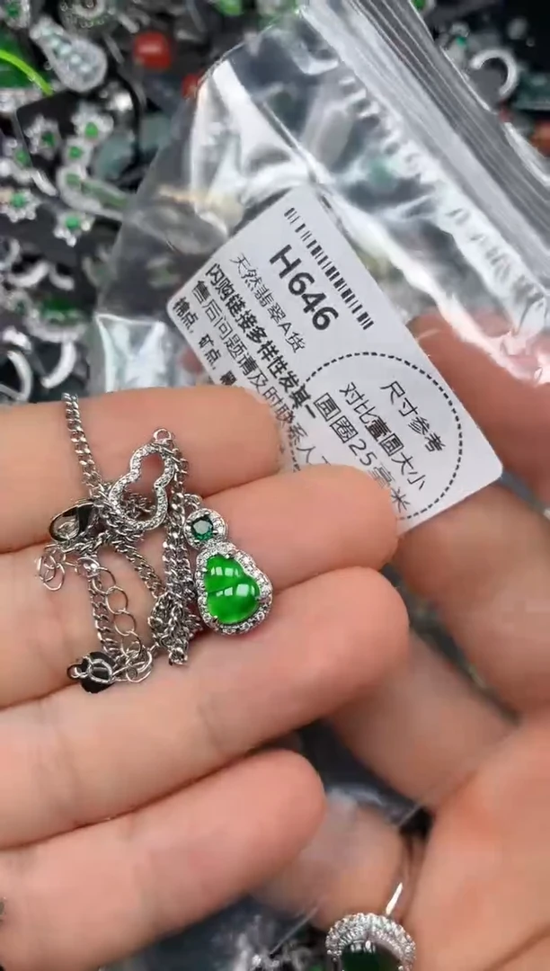 颈饰未镶嵌翡翠H646项链