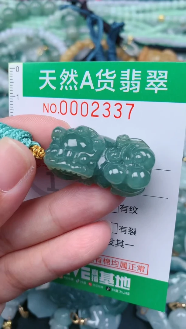 翡翠未镶嵌颈饰.0002337
