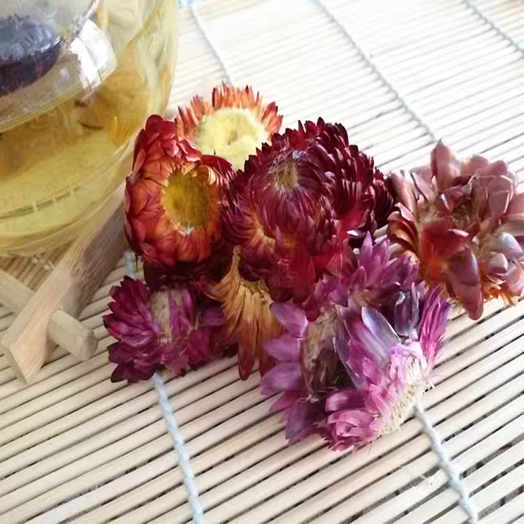 云南高原 七彩菊花 火妹甄选