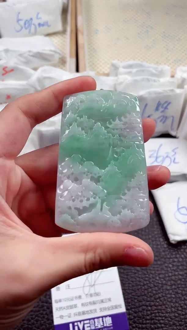 翡翠未镶嵌颈饰00002904