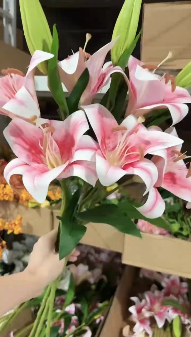3枝粉色大百合