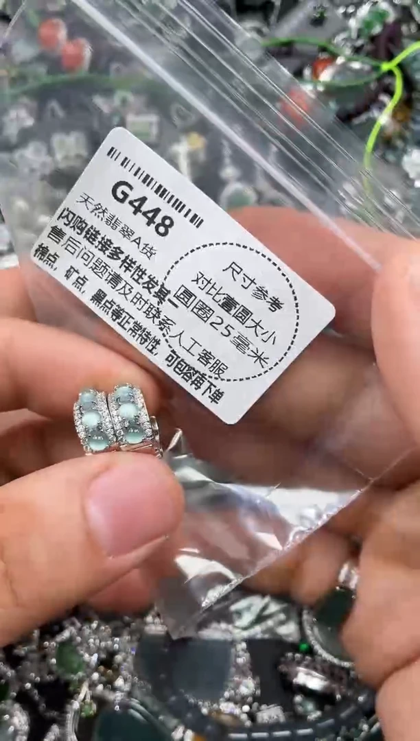 颈饰未镶嵌翡翠G448耳扣