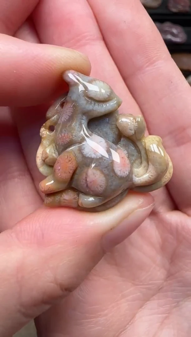 颈饰未镶嵌硅化珊瑚（珊瑚玉）587