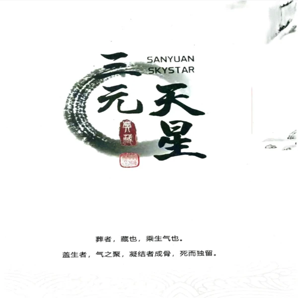 李双林第四期《三元天星》460页