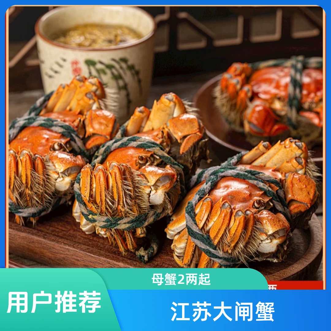 【活蟹】江苏大闸蟹精品全母2.7-2.4两10只整箱顺丰京东冷链发货河蟹
