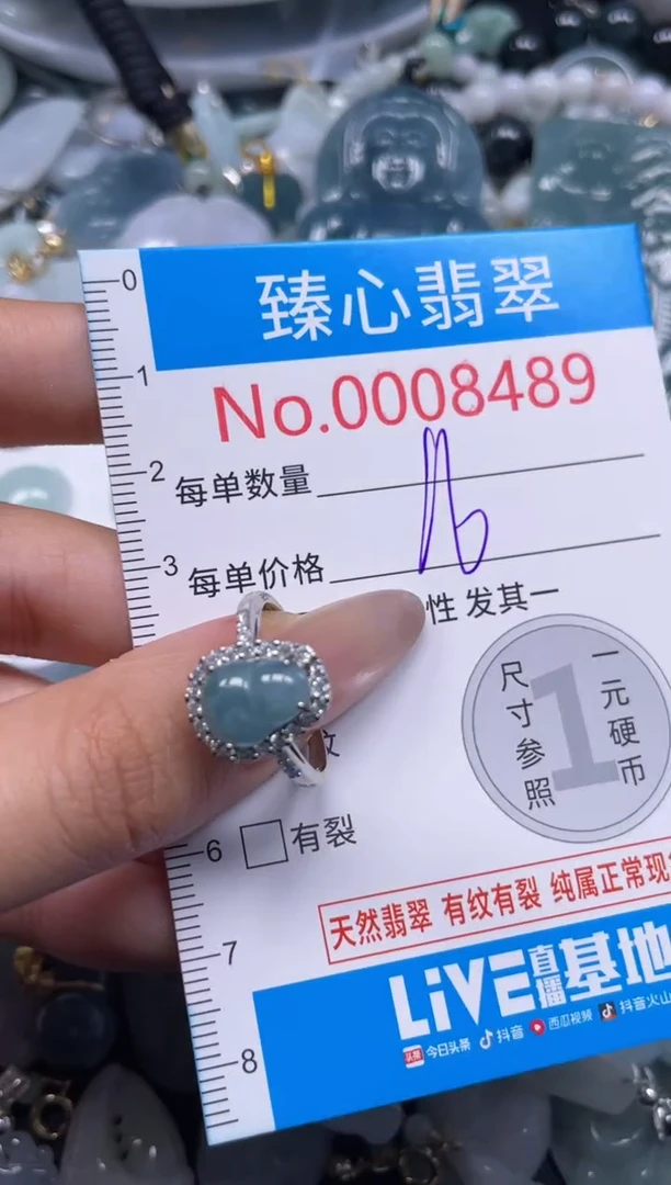 颈饰未镶嵌翡翠8489