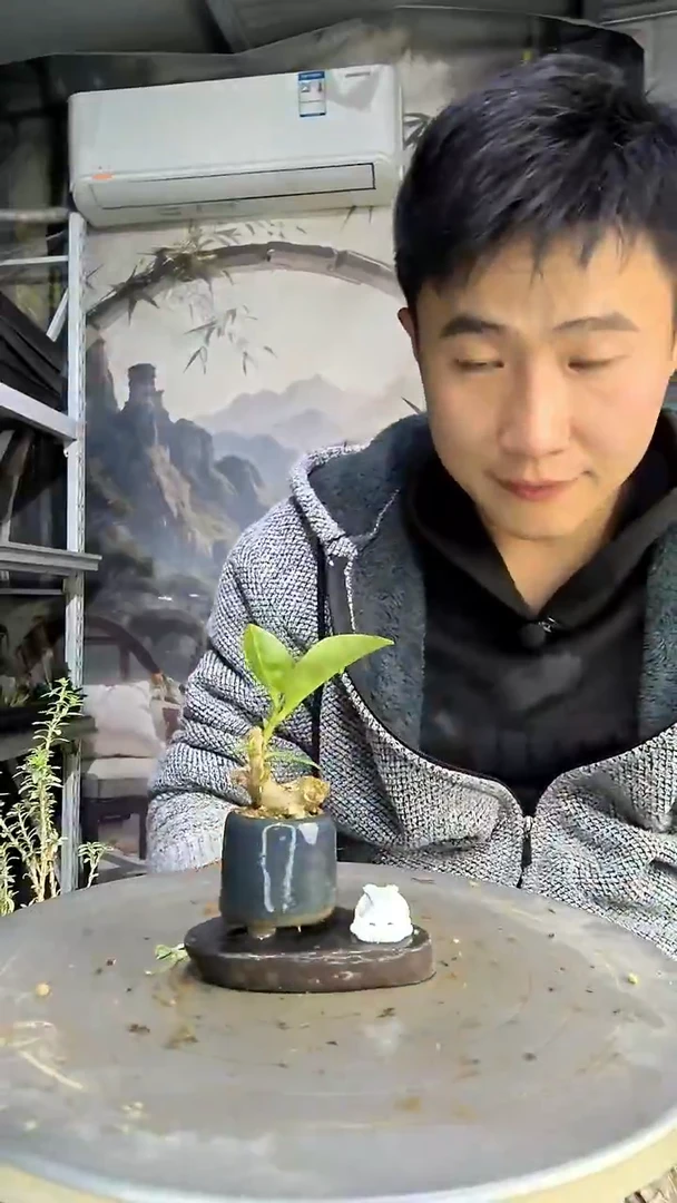 来*饭中青园艺一物一拍402