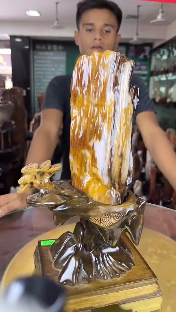 未镶嵌珠宝奇石硅化玉缅甸天然树化玉摆件