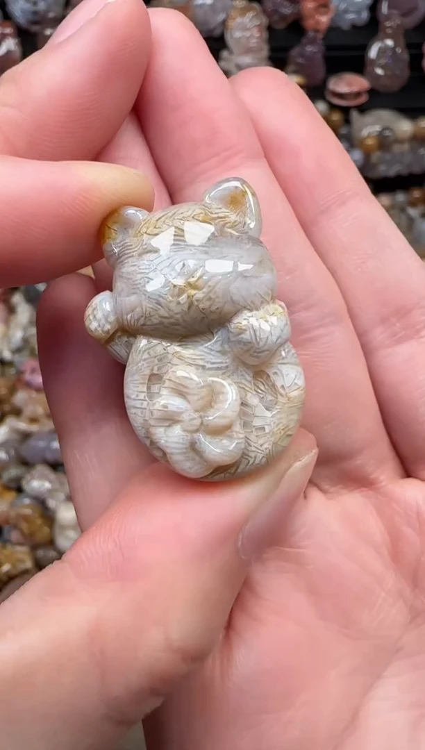 颈饰未镶嵌硅化珊瑚（珊瑚玉）043