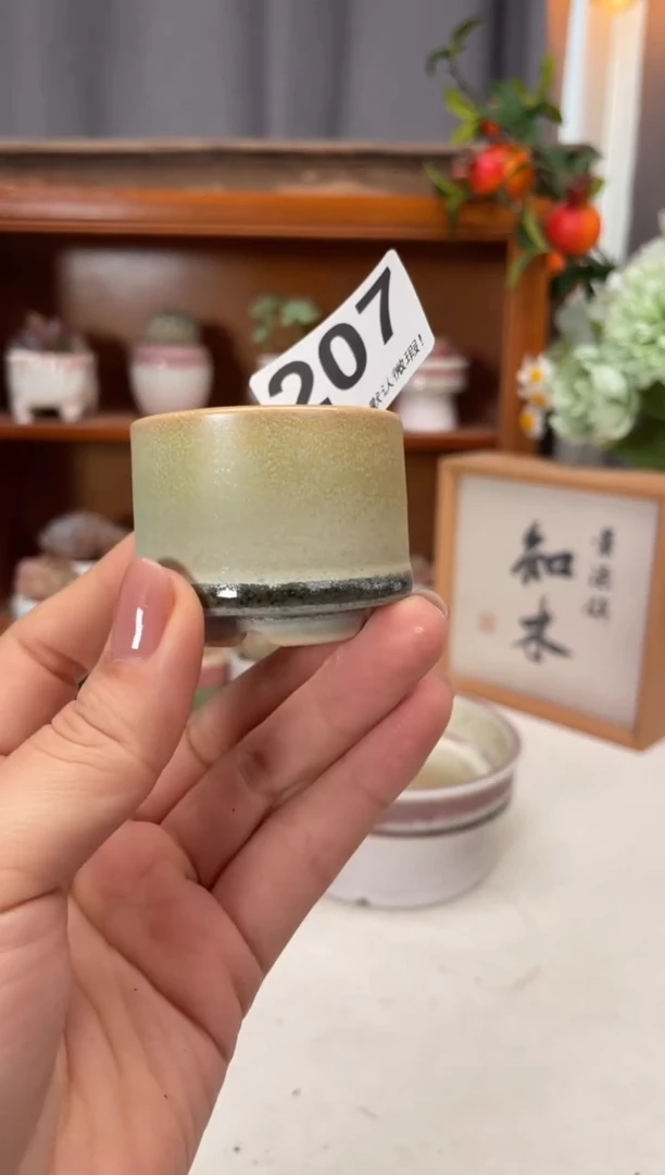 瓷片206知木小芳花盆