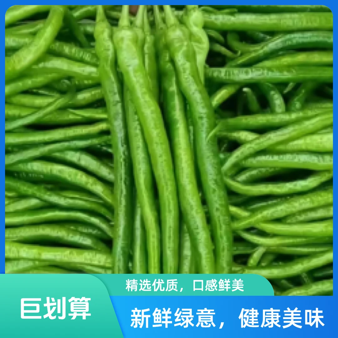 青线椒（公斤）