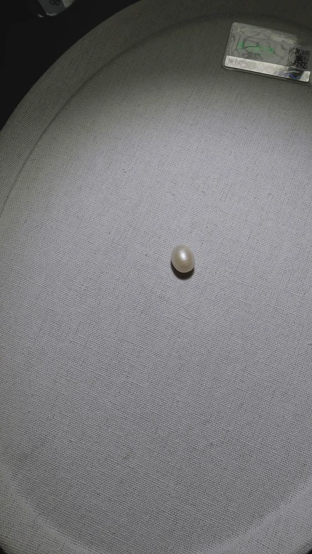未镶嵌淡水珍珠单颗东珠