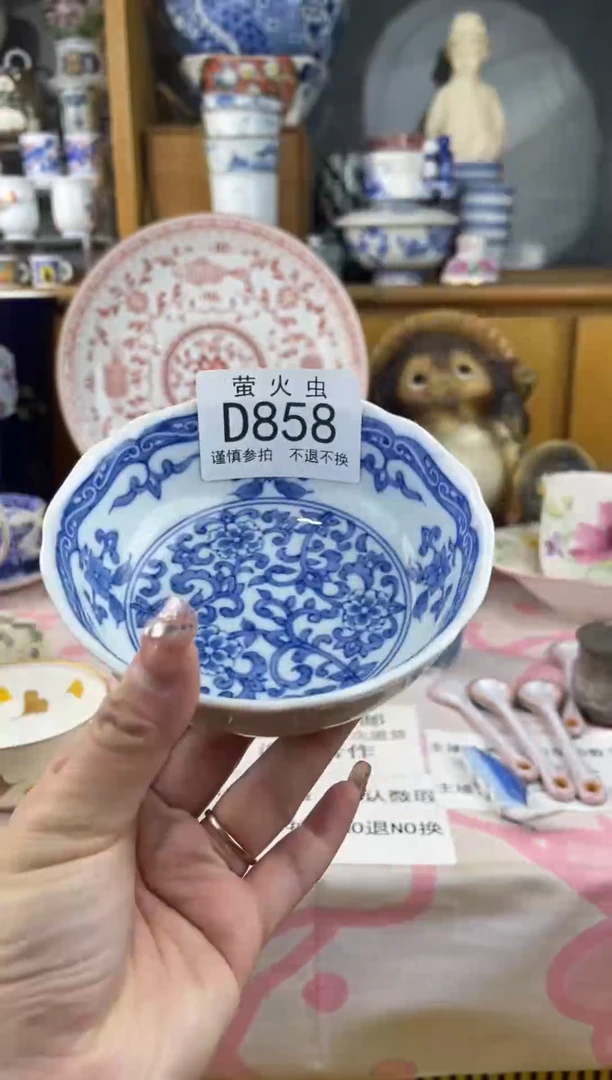 瓷片小*盖DDDDDD瓷片858