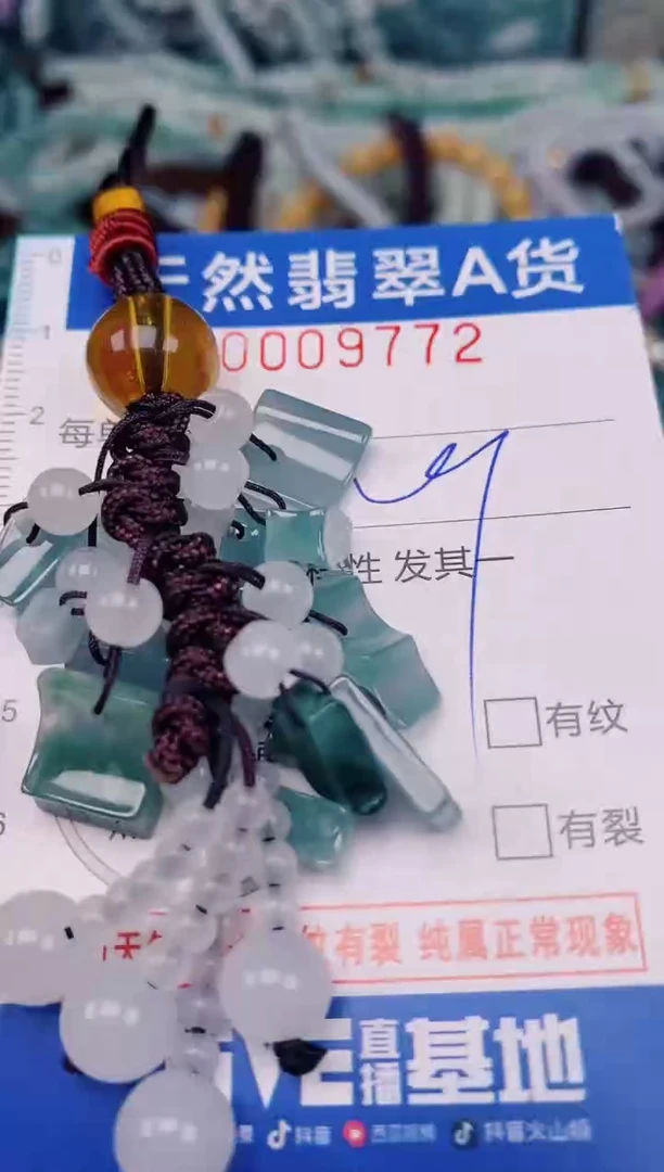 颈饰未镶嵌翡翠00009772