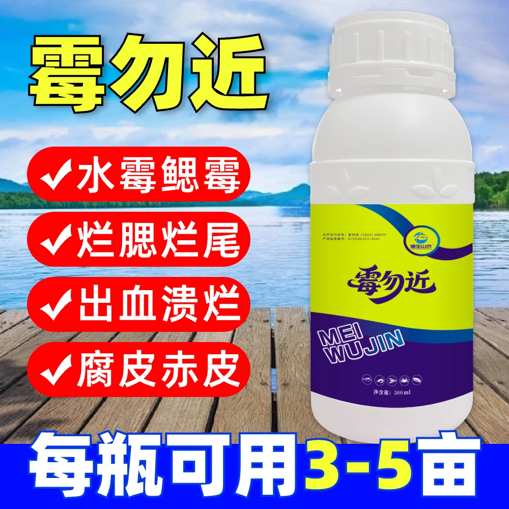 硫醚沙星大蒜素水产养殖专用水霉白毛出血烂身烂尾鱼塘鱼用水霉净