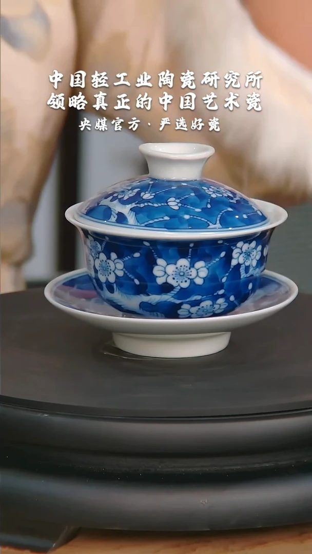 【闪购商品】瓷片陶瓷 研究所    流水20