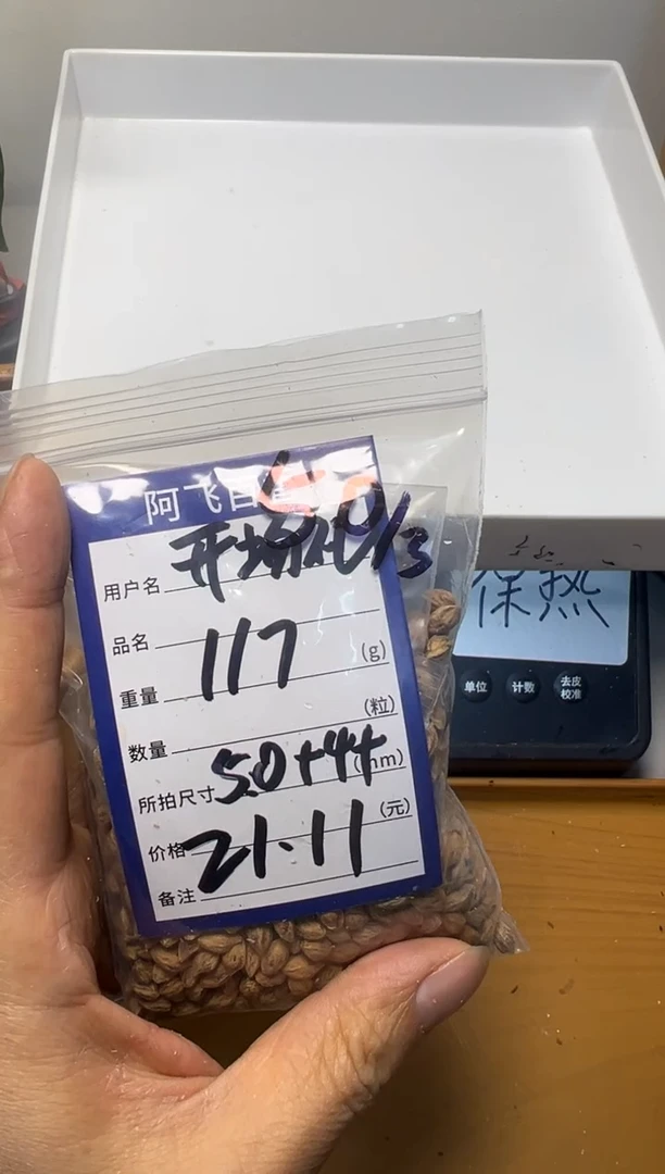 【闪购商品】柏香籽/百香籽吊坠21.11