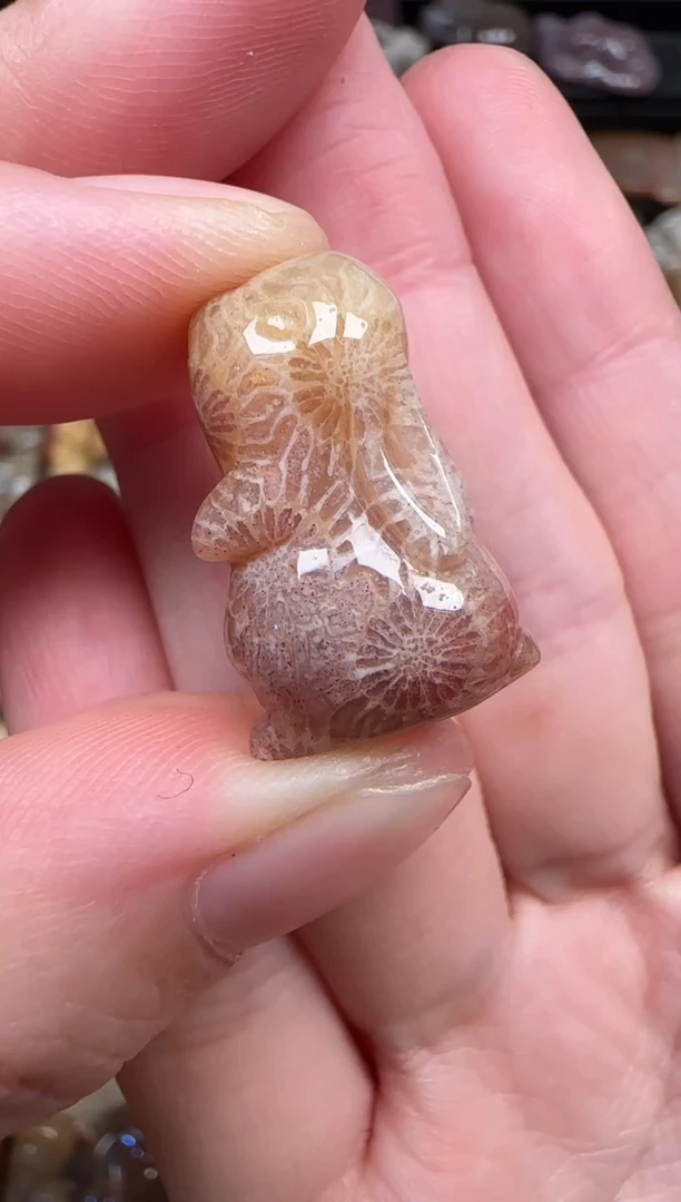 颈饰未镶嵌硅化珊瑚（珊瑚玉）800