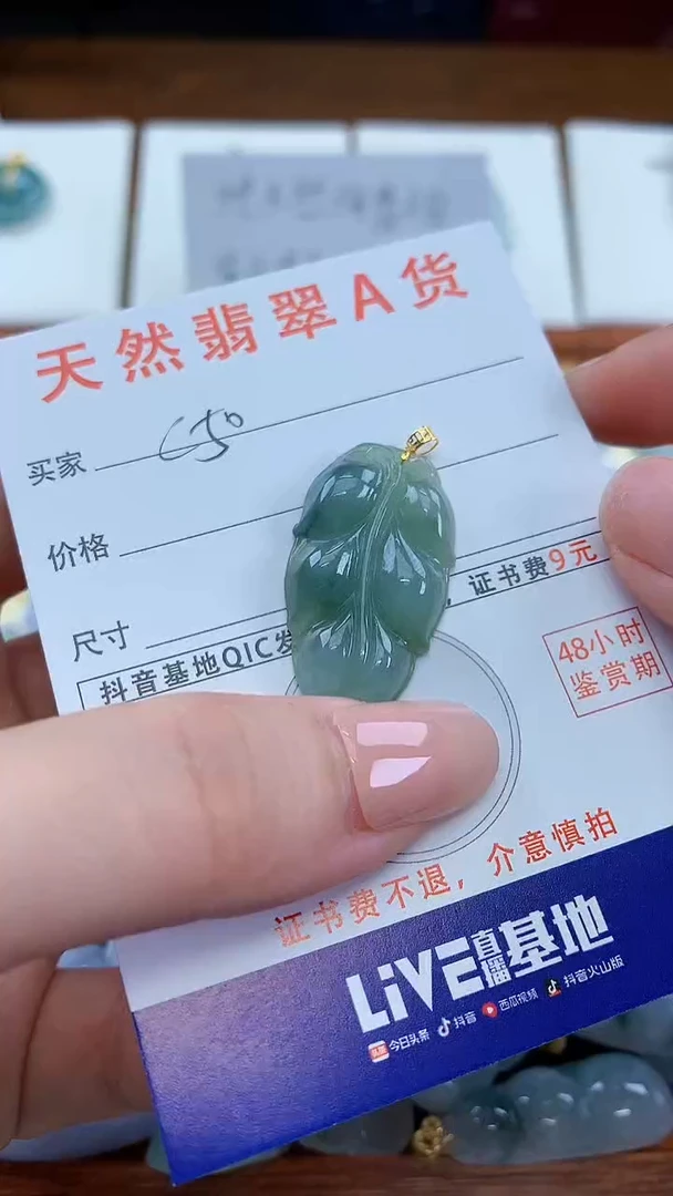颈饰未镶嵌翡翠天然A货翡翠挂件