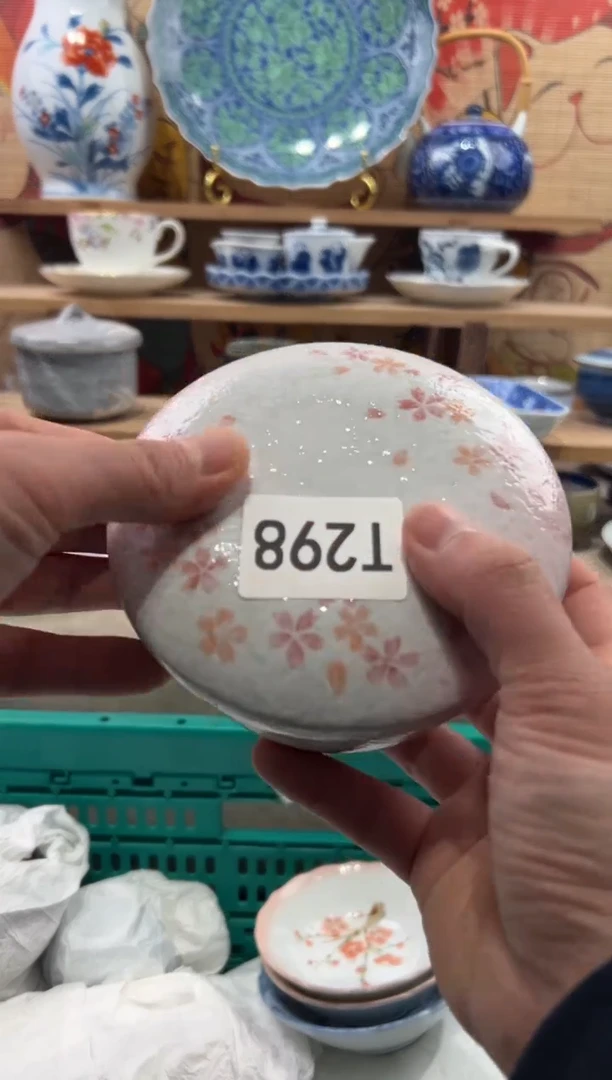 瓷片鱼*儿瓷片------T298